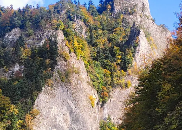 Otulony Sloncem Tatil Evi *